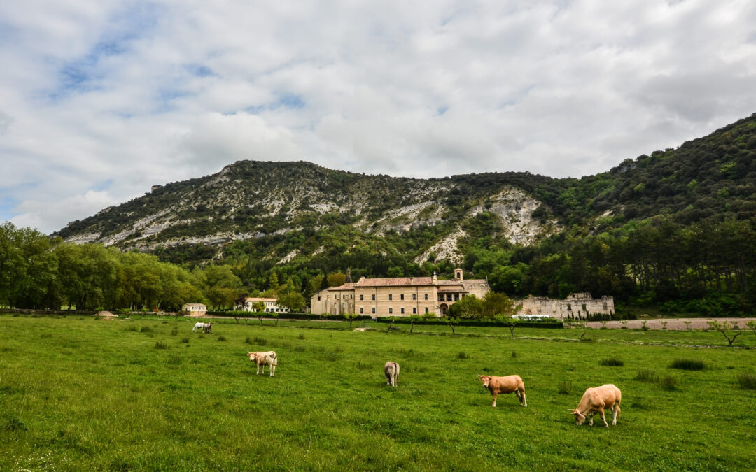 Modificación del Método de Capitalización en la Valoración de Fincas Rústicas