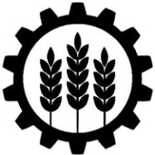 Mª José Abellán Millá